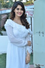 Surbhi at Okka Kshanam Movie Success Celebrations